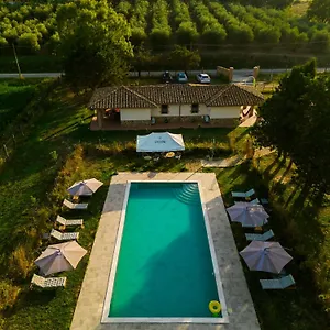 Anfora Della Appartement